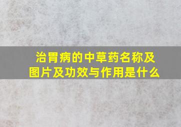 治胃病的中草药名称及图片及功效与作用是什么