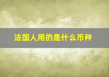 法国人用的是什么币种