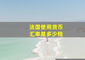 法国使用货币汇率是多少钱