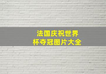 法国庆祝世界杯夺冠图片大全