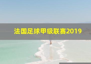 法国足球甲级联赛2019