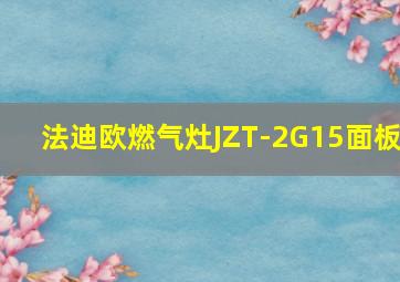 法迪欧燃气灶JZT-2G15面板