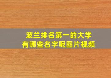 波兰排名第一的大学有哪些名字呢图片视频