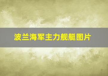 波兰海军主力舰艇图片