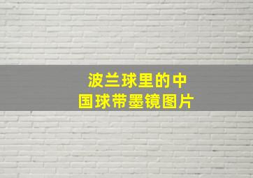 波兰球里的中国球带墨镜图片