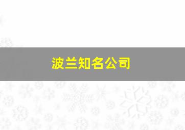 波兰知名公司