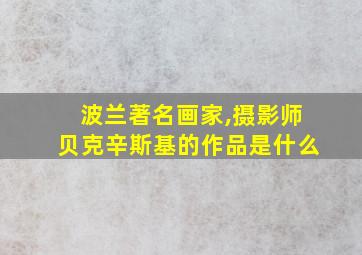 波兰著名画家,摄影师贝克辛斯基的作品是什么