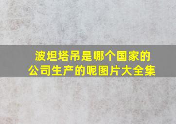 波坦塔吊是哪个国家的公司生产的呢图片大全集