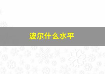 波尔什么水平