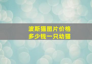 波斯猫图片价格多少钱一只幼猫