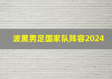 波黑男足国家队阵容2024