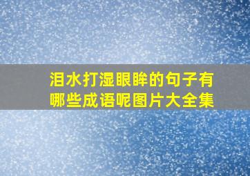 泪水打湿眼眸的句子有哪些成语呢图片大全集