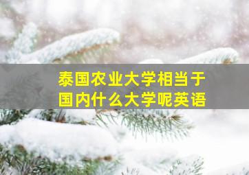 泰国农业大学相当于国内什么大学呢英语