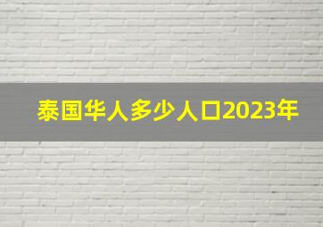 泰国华人多少人口2023年