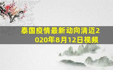 泰国疫情最新动向清迈2020年8月12日视频