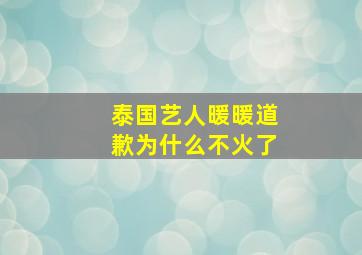 泰国艺人暖暖道歉为什么不火了