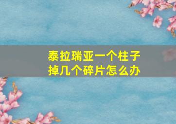 泰拉瑞亚一个柱子掉几个碎片怎么办