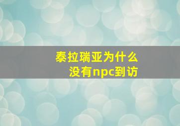 泰拉瑞亚为什么没有npc到访