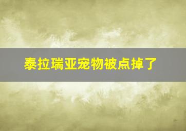 泰拉瑞亚宠物被点掉了