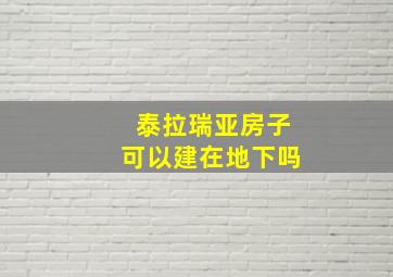 泰拉瑞亚房子可以建在地下吗