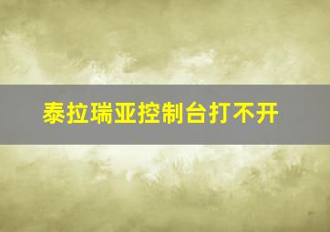 泰拉瑞亚控制台打不开