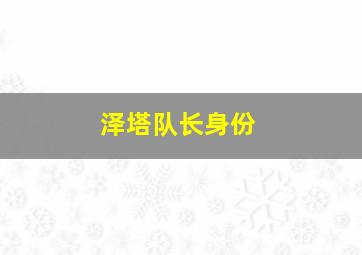 泽塔队长身份