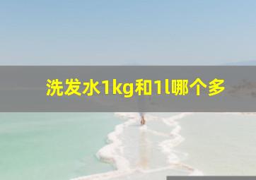 洗发水1kg和1l哪个多