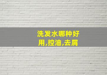 洗发水哪种好用,控油,去屑