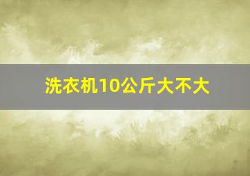 洗衣机10公斤大不大