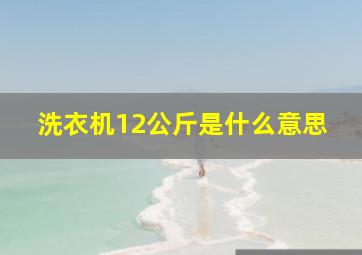 洗衣机12公斤是什么意思