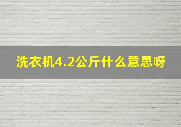 洗衣机4.2公斤什么意思呀