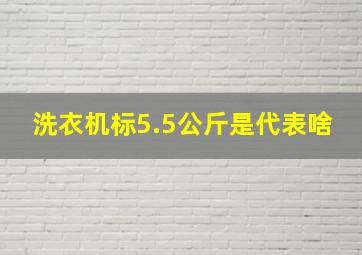 洗衣机标5.5公斤是代表啥