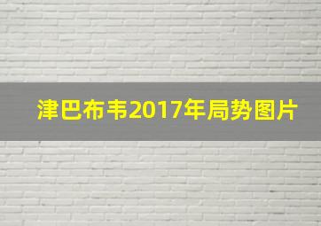 津巴布韦2017年局势图片