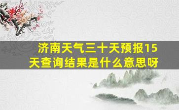 济南天气三十天预报15天查询结果是什么意思呀