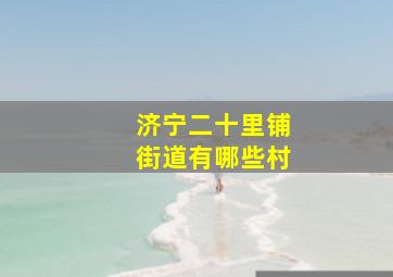 济宁二十里铺街道有哪些村