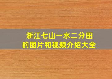 浙江七山一水二分田的图片和视频介绍大全