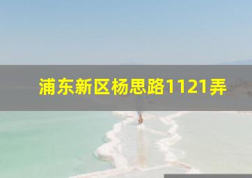 浦东新区杨思路1121弄