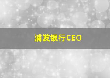 浦发银行CEO