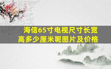 海信65寸电视尺寸长宽高多少厘米呢图片及价格