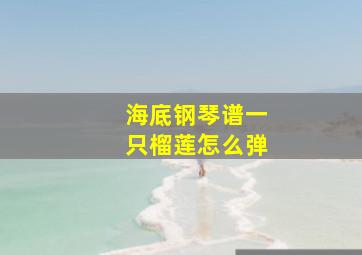 海底钢琴谱一只榴莲怎么弹