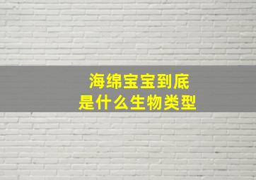 海绵宝宝到底是什么生物类型