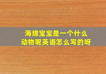 海绵宝宝是一个什么动物呢英语怎么写的呀