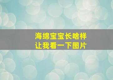 海绵宝宝长啥样让我看一下图片