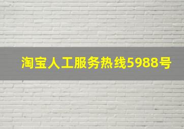 淘宝人工服务热线5988号