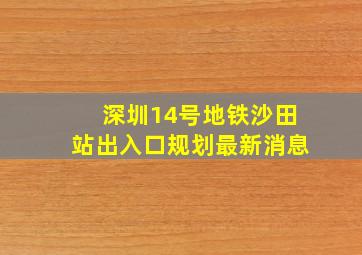 深圳14号地铁沙田站出入口规划最新消息