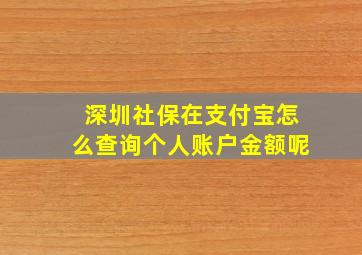 深圳社保在支付宝怎么查询个人账户金额呢