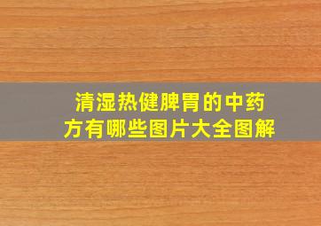 清湿热健脾胃的中药方有哪些图片大全图解