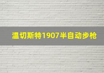 温切斯特1907半自动步枪