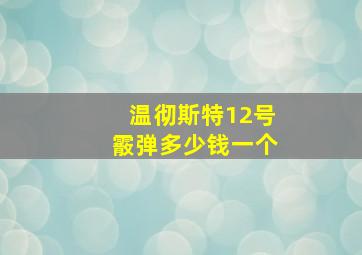 温彻斯特12号霰弹多少钱一个