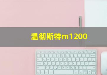 温彻斯特m1200